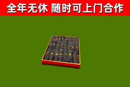 大宁回收海参